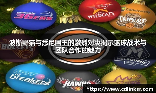 波斯野猫与悉尼国王的激烈对决揭示篮球战术与团队合作的魅力
