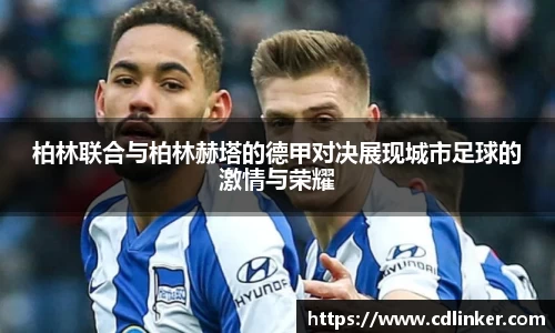 mk体育官网入口