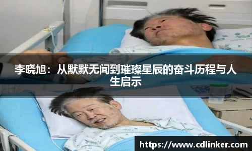 mk体育官网