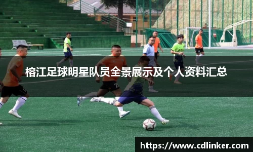 mk体育官网入口